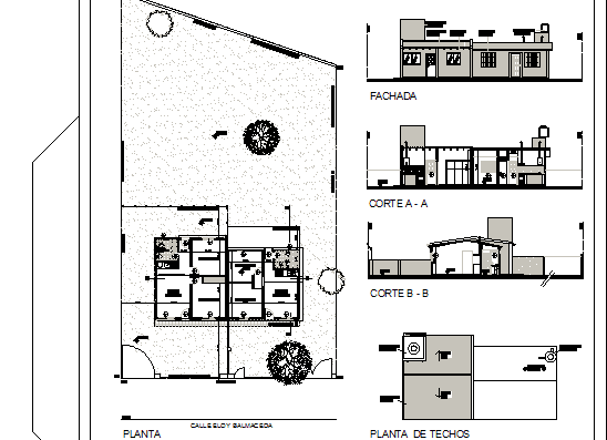 Проект дома с крышей и фасадами