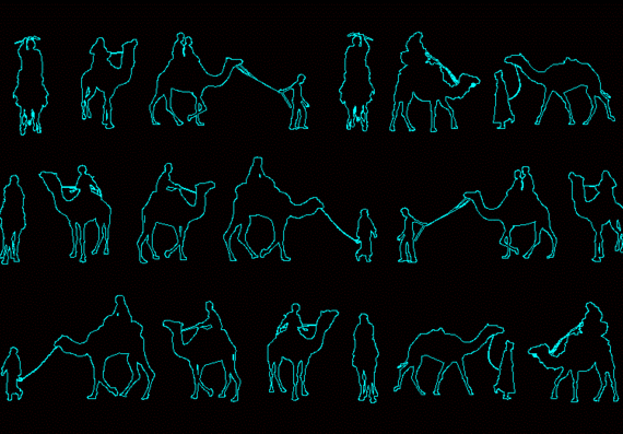 Human silhouettes, on camels