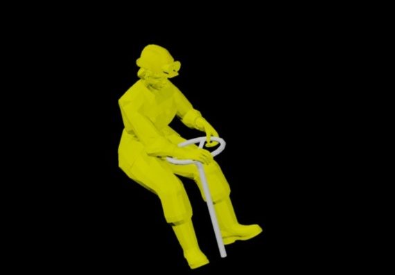 3D image of the worker (driver)