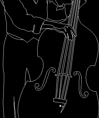 Musician - bassist