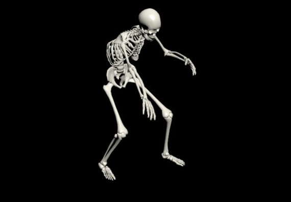 Скелет - трехмерное изображение