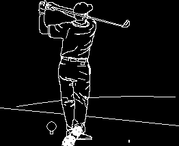 2D-изображение гольфиста