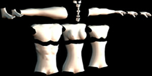 Части человеческого тела - трехмерное изображение