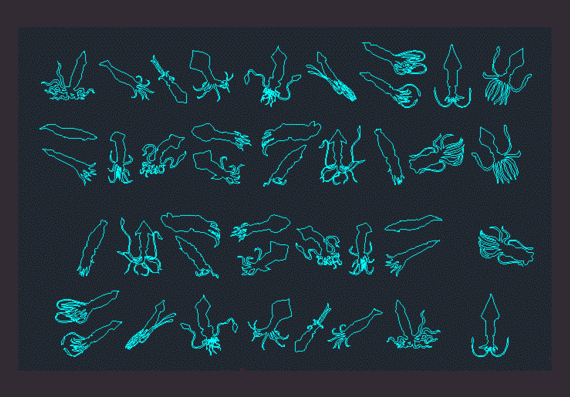 Silhouettes of squid in projection