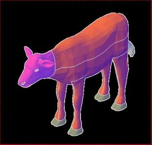 Calf with details in 3D