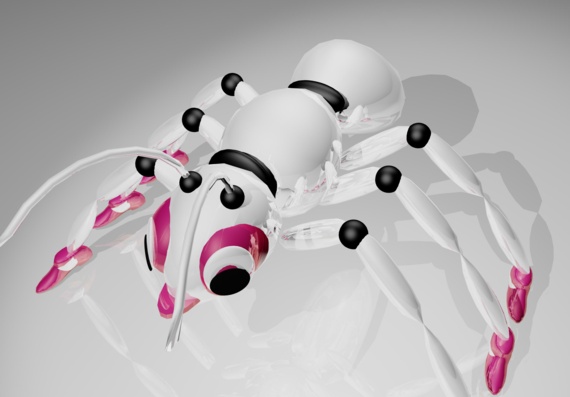 Ant Model in 3D