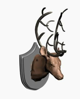 Details for 3D deer headform
