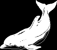 Дельфин аквариумный