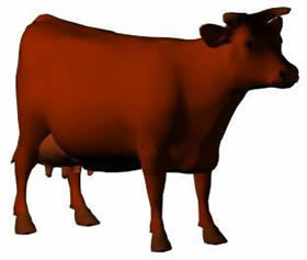 3D cow model