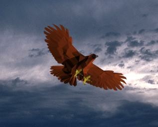 Bird 3d - eagle