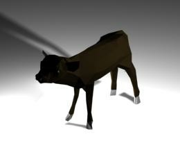 Calf in 3D