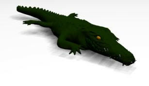 Crocodile model in 3D