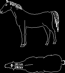 Horse Design Side View