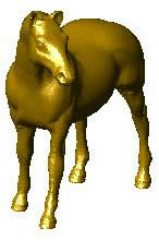 Horse Model in 3D