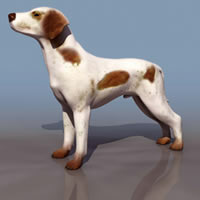 Image of a dog in 3D