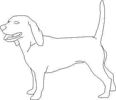 Собака-ищейка
