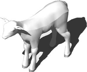 3D lamb model