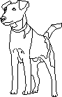 Собака в проекции 2D