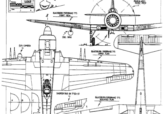 Самолет Blackburn Firebrand - чертежи, габариты, рисунки