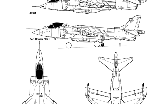 Самолет Hawker Siddeley Harrier - чертежи, габариты, рисунки