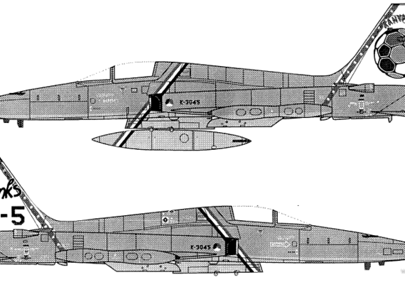 Самолет Northrop NF-5A Tiger II - чертежи, габариты, рисунки