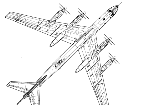 Самолет Туполев Tu-142MZ Bear F - чертежи, габариты, рисунки