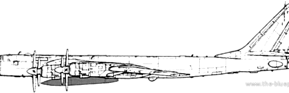 Самолет Туполев Tu-95K Bear - чертежи, габариты, рисунки