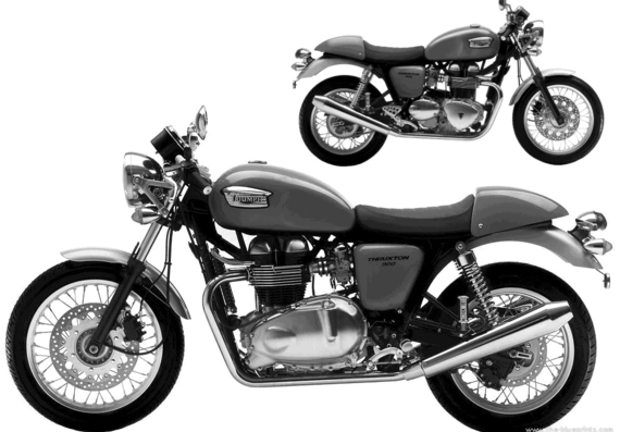 Triumph Thruxton 900 motorcycle (2005) - drawings, dimensions, pictures
