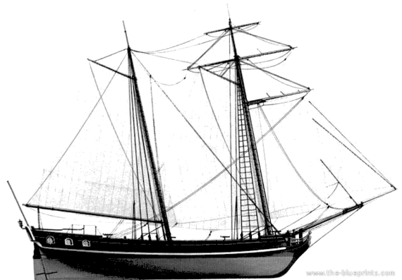 Корабль Schooner - чертежи, габариты, рисунки