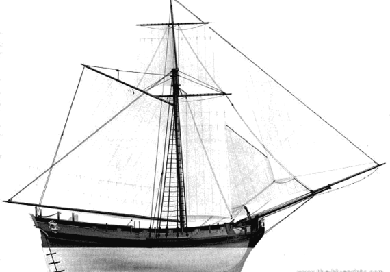 Ship Sloop - drawings, dimensions, figures