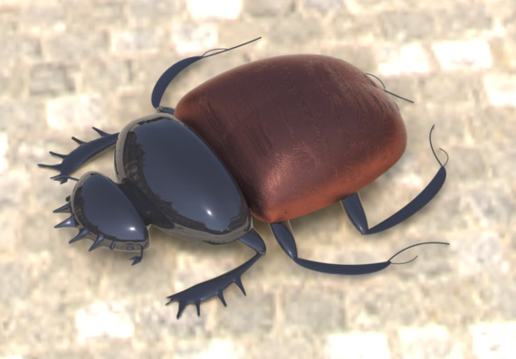 Scarab Beetle - 3D Model