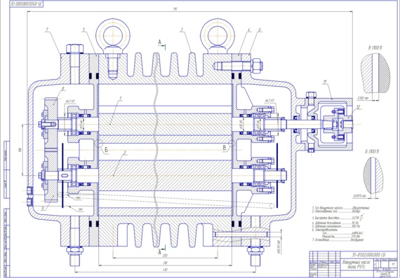 Assembly drawing of vacuum pump of RUTS type