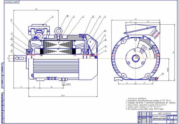 Assembly drawing of AP with short-circuit rotor