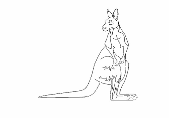 NC Machine Kangaroo Drawing