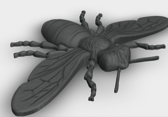 3D Bee Model