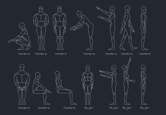 Human Figures for Determining Anthropometry
