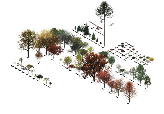 3D Модели различных деревьев и растений в revit