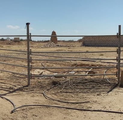 A sheep farm project to produce dairy products on the northern coast of Egypt.