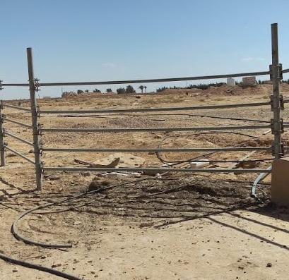 A sheep farm project to produce dairy products on the northern coast of Egypt.
